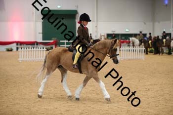 ERB-3494