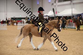 ERB-3495