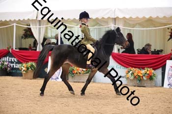 ERB-3546