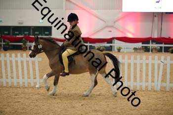 ERB-3653