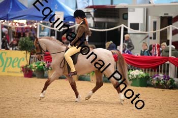 ERB-3697