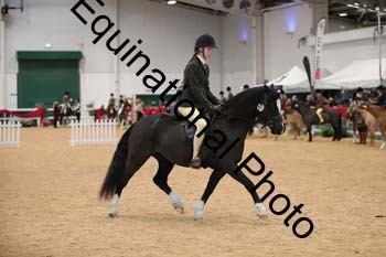 ERB-3796