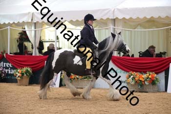 ERB-3802