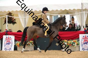 ERB-3820