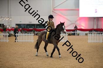 ERB-3823