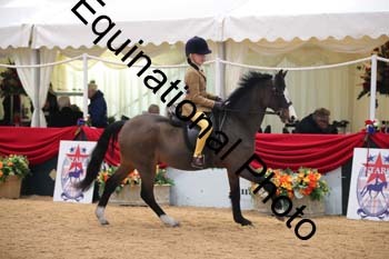 ERB-3827