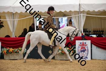 ERB-3834