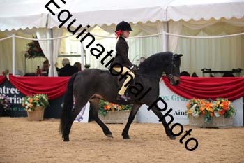 ERB-3868
