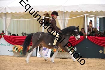 ERB-3887