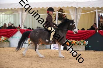 ERB-3896