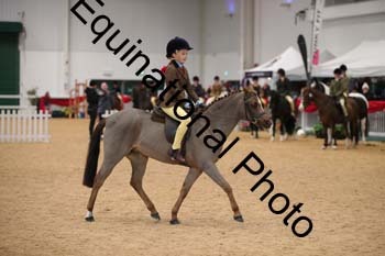 ERB-3922