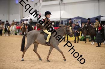 ERB-3923