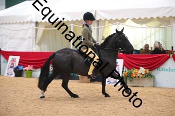 ERB-3937