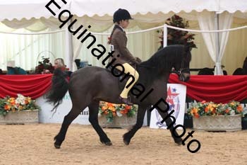 ERB-3987