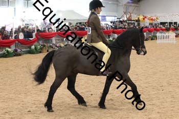 ERB-3992