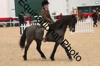 ERB-3993