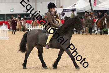 ERB-3994