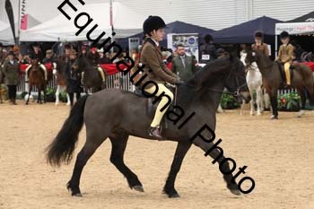 ERB-3995