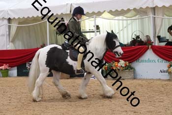 ERB-4010