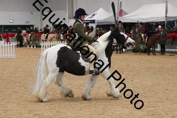ERB-4019