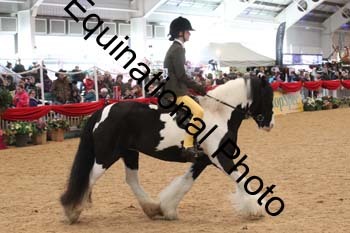 ERB-4040