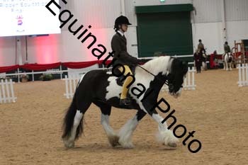 ERB-4042