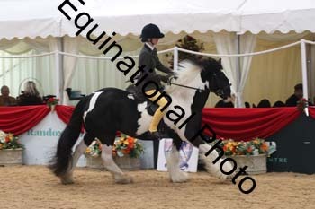 ERB-4045