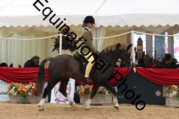 ERB-4059