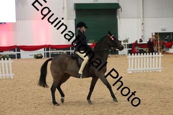 ERB-4069