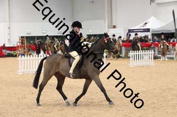 ERB-4071