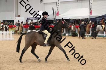 ERB-4072