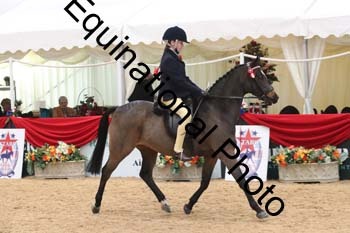 ERB-4074