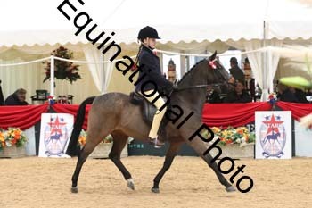ERB-4075