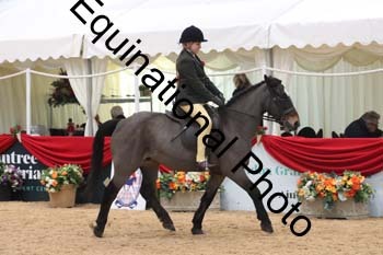 ERB-4077