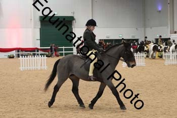 ERB-4082