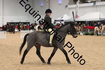 ERB-4083