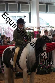 ERB-4125
