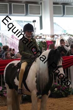 ERB-4126