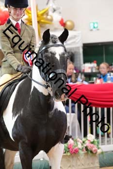ERB-4216