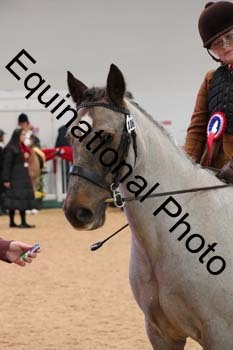 ERB-4233
