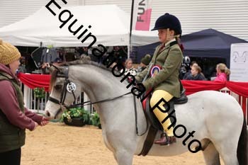 ERB-4245