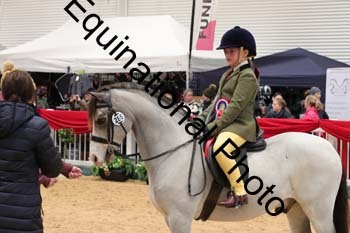 ERB-4246