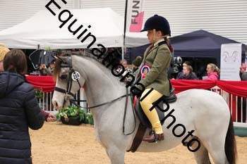 ERB-4247