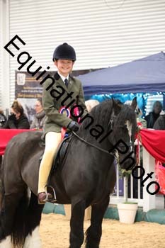 ERB-4288