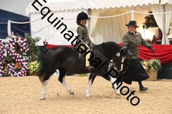 ERB-4469