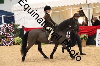 ERB-4505