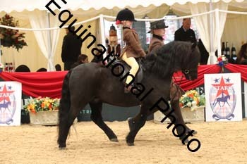 ERB-4560