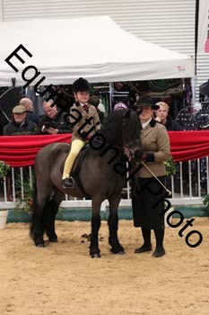 ERB-4653