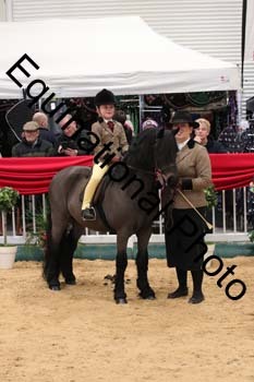 ERB-4654
