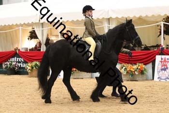 ERB-4745